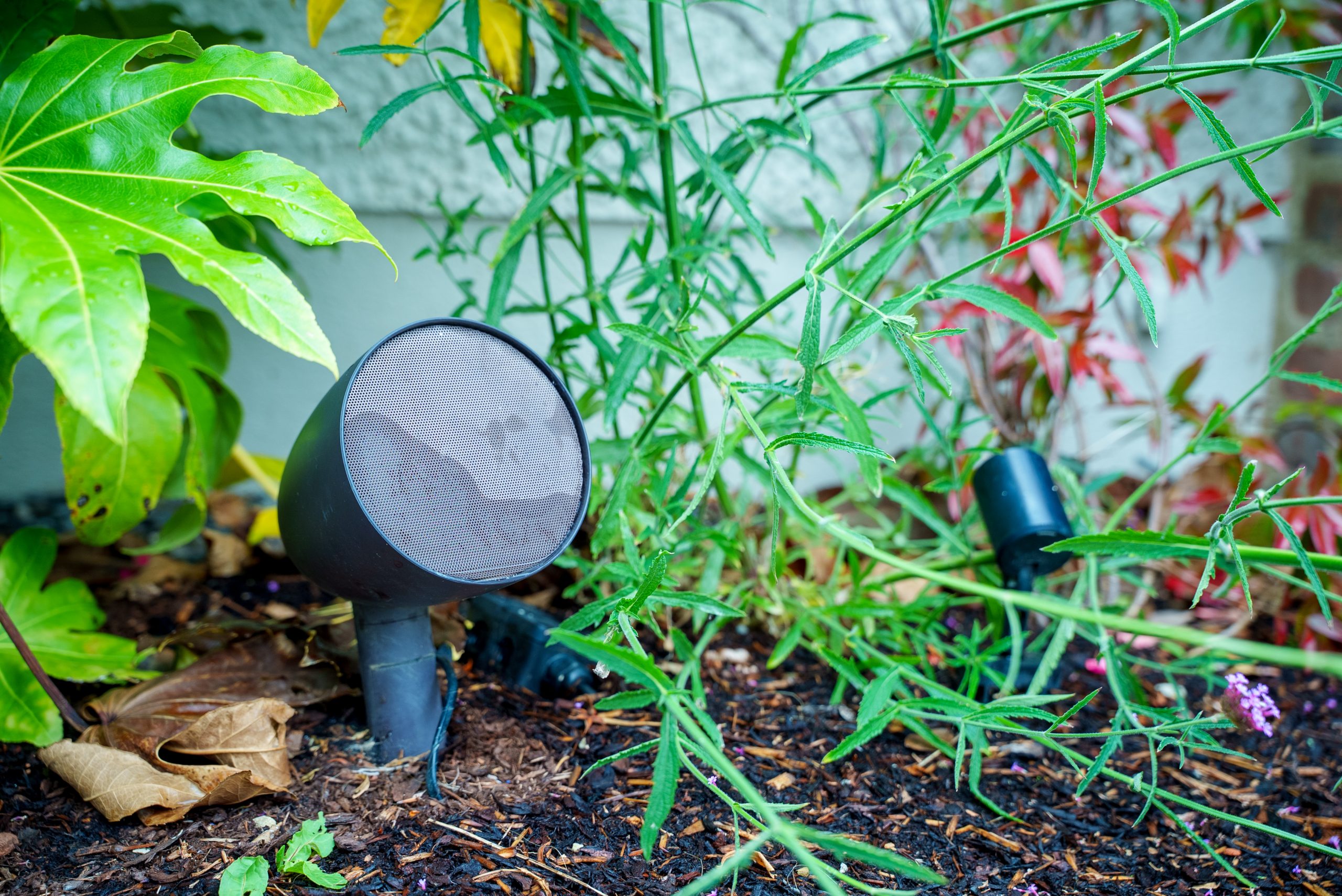 Outdoor Audio Installation: From First Fix to Final Install